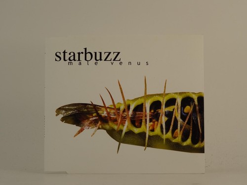Starbuzz male venus 1 - starbuzz,